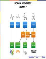 Image result for Macromolecules Building Blocks