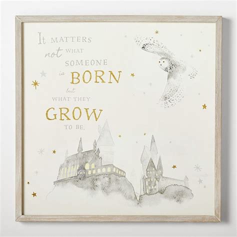 25 Harry potter nursery ideas | harry potter nursery, harry potter baby ...