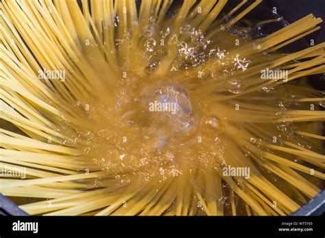 Cook spaghetti in a pot al dente Stock Photo - Alamy