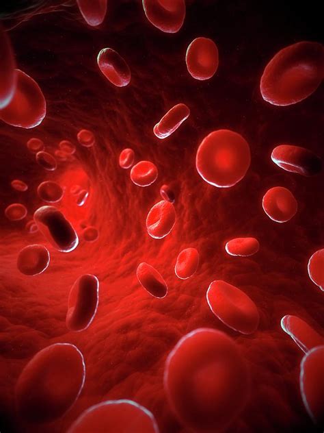 Image result for Blood Gang Handshake Tutorial