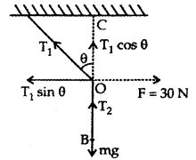 Laws of Motion Class 11 Important Extra Questions Physics Chapter 5 ...