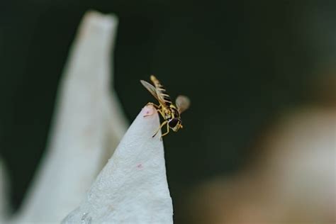 Image result for All in Code Program