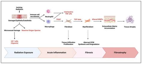 Cancers | An Open Access Journal from MDPI