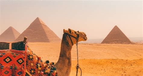 Ancient Egypt City 的图像结果