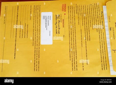 Absentee Ballot 的图像结果