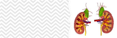 Is renal cell carcinoma on the rise?