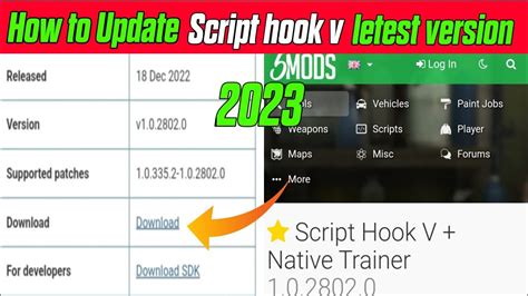 Image result for How to Use Script Hook 5