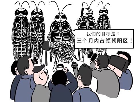 北漂灭蟑师十年灭两千万只蟑螂：北京的蟑螂一辈子都灭不完_腾讯新闻