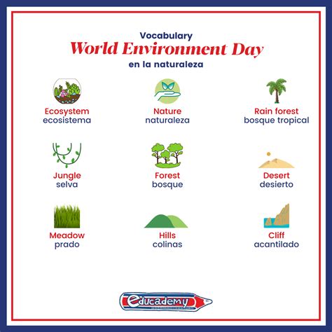 Image result for Environment