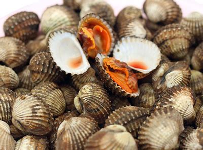 Blood Clam | Srijanee Trade International