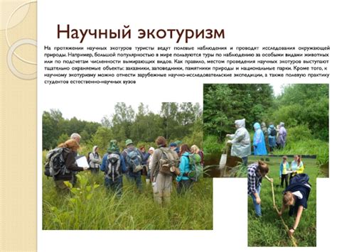 ЭКОЛОГИЧЕСКИЙ ТУРИЗМ Б ЕЛАРУСИ