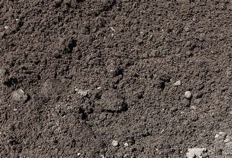 Silt Loam Soil