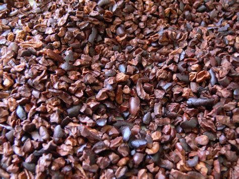The Ultimate Chocolate Blog: Where to Buy Cocoa Beans, Nibs and other ...