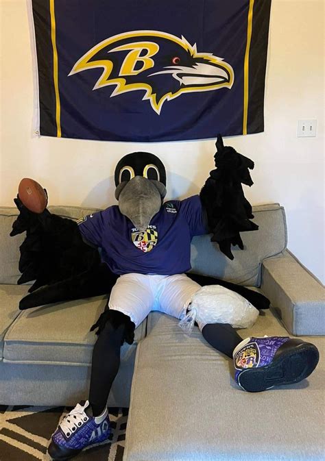 Ravens’ mascot Poe recovering after injury during halftime event Saturday