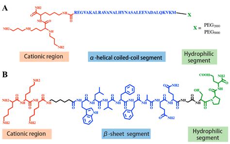Non-Viral Targeted Nucleic Acid Delivery: Apply Sequences for Optimization
