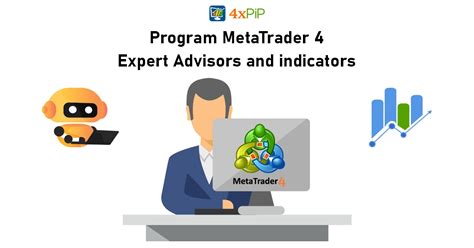 MetaTrader Program 的图像结果