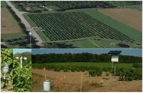 Agronomy | Special Issue : Plant Disease Epidemiology: Changing ...
