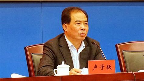 宁波市长卢子跃落马十天后被免职 全国两会结束日被查|界面新闻 · 中国