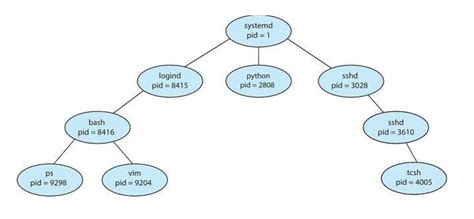 Using Exec System Call in Creating Process Tree 的图像结果