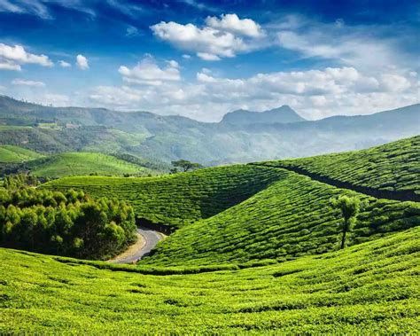 Munnar Sightseeing Bus by KSRTC : Your Perfect Munnar KSRTC Adventure