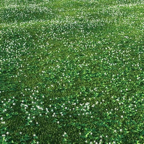white Clover lawn 3D model | CGTrader