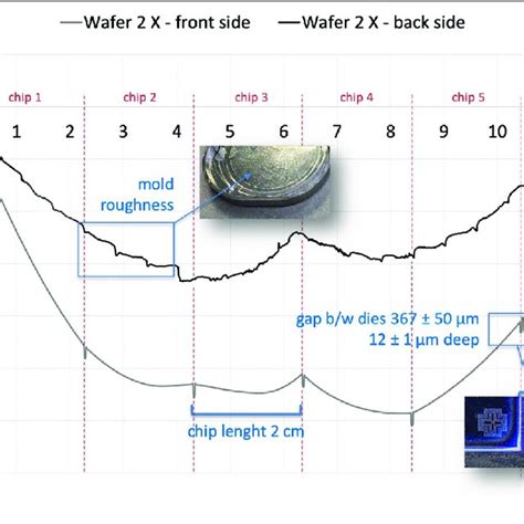 Image result for WLP Process Introduction