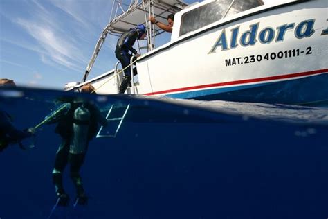 Professional dive shop albeit only fair web based communication. DId ...