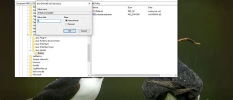 Image result for Settings Update Java