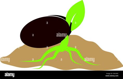 Life Process 的图像结果