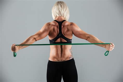 Exercises for Lower Back Using Resistance Bands 的图像结果