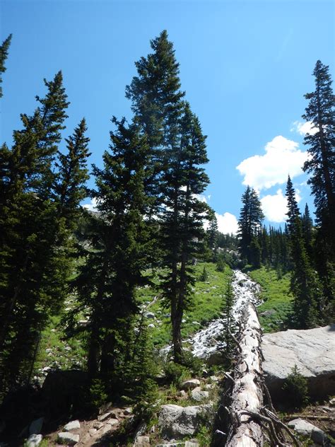 Hiking Red Pine Lake - Little Cottonwood Canyon - Road Trip Ryan