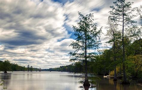 Image result for Stumpy Lake Map