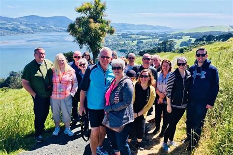 Dunedin and Otago Peninsula Wildlife Tour with Port Pickup 2020 ...