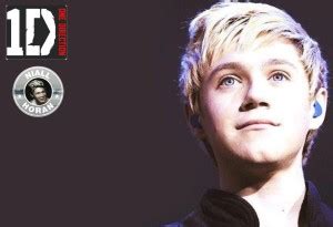 Poster Niall Horan One Direction sl-14834 (Wall Poster, 13x19 Inches ...