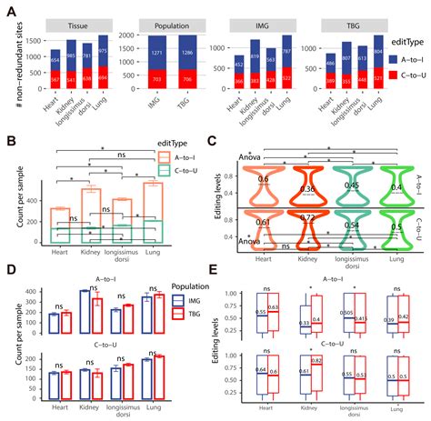The Profiles and Functions of RNA Editing Sites Associated with High-Altitude Adaptation in Goats