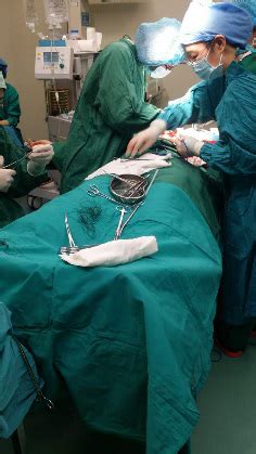 胆囊切除术手术视频_开腹胆囊切除术_胆囊切除术_腹腔镜胆囊切除术
