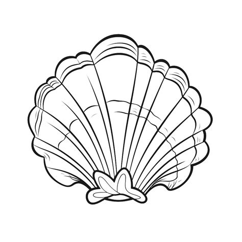 Seashell coloring page – Coloring corner