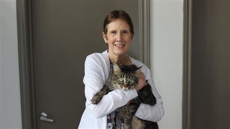 Meet Our Team — Brookdale Animal Hospital