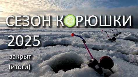 Самый короткий сезон корюшки в Питере | Как всё было? - YouTube