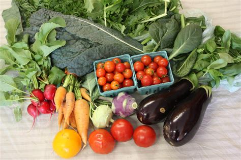 csa | Riverview Gardens