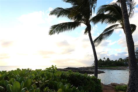 One Week on Oahu - Daily Itinerary and Guide - The World Travel Project