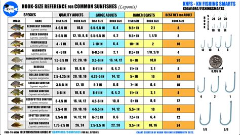 KNFS Free Hook-Size Chart for Common Sunfishes - Bluegill, longear sunfish, green sunfish ...