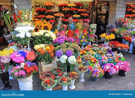 72nd Annual Andover Flower Show, 32 Elm St., Andover, ME, United States ...