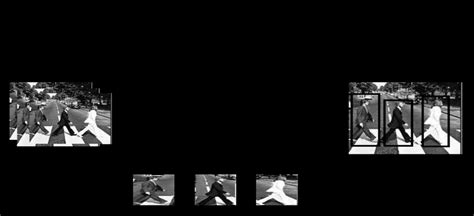 Image result for Particle Tracking Filter Without