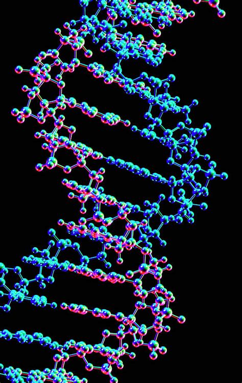 DNA Structure 的图像结果