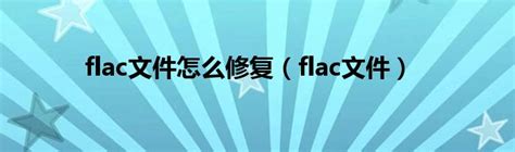 FLAC Tutorial 的图像结果