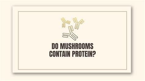 Does Mushroom Have Protein