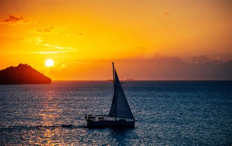 Where to see cheetah in Namibia | Far and Wild Travel