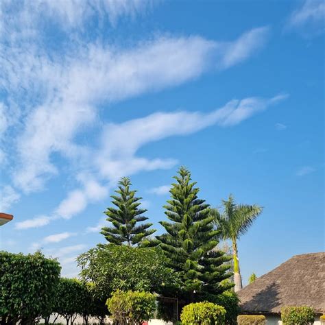 CORBETT FUN RESORT (Teda) - Resort Reviews, Photos, Rate Comparison ...
