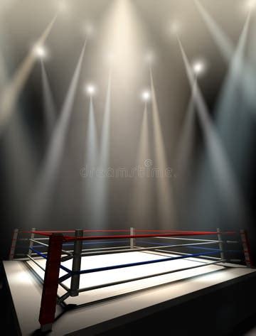 Boxing Ring Top View 的图像结果